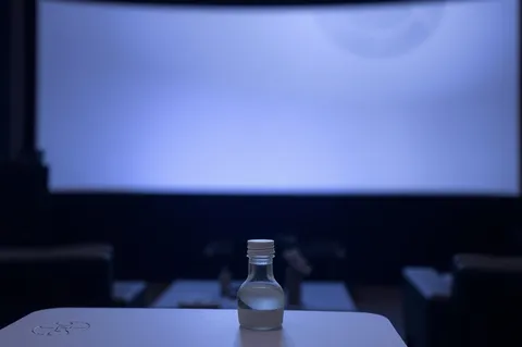 Exemple illustrant la commande /techprojector : Vidéoprojecteur