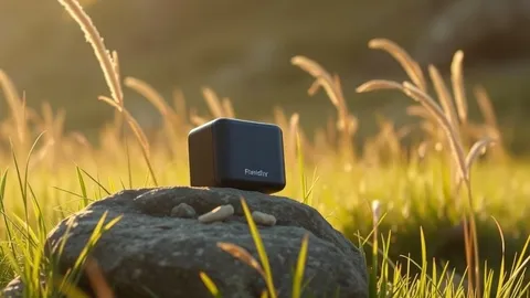 Example illustrating the /vidoutdoor command: Product outdoors